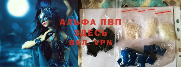 индика Богданович