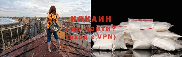 индика Богданович