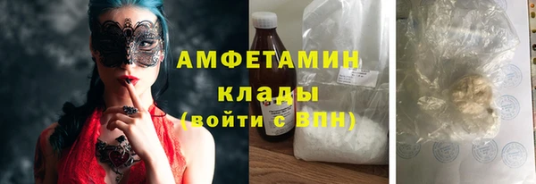 индика Богданович