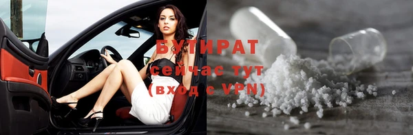 индика Богданович