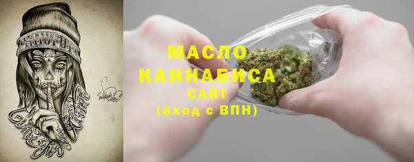 индика Богданович