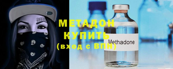 индика Богданович