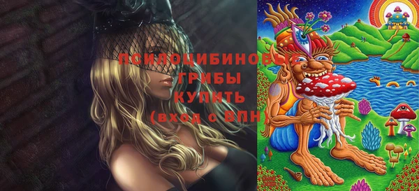 амфетамин Богородицк