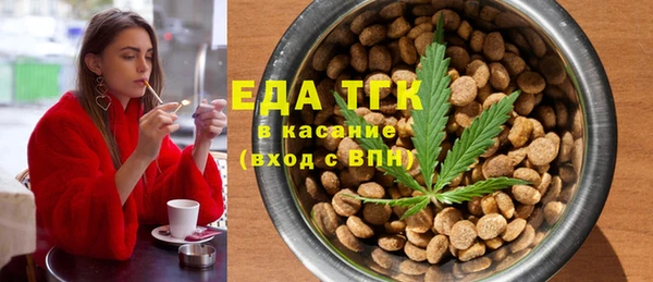 индика Богданович