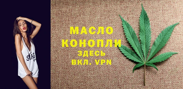 индика Богданович