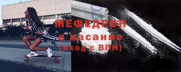 индика Богданович