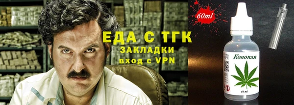 индика Богданович