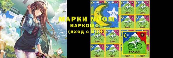 индика Богданович