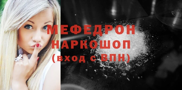 индика Богданович