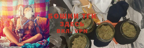 индика Богданович