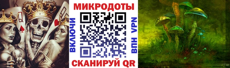 Галлюциногенные грибы Psilocybe  Купить закладки  Гаврилов Посад 